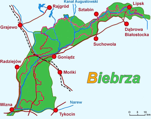 Biebrza | Bagna Biebrzańskie | Biebrzański Park Narodowy